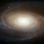 M81 vue par Hubble. // Source : NASA, ESA, and the Hubble Heritage Team (STScI/AURA) (photo recadrée) M81 vue par Hubble. // Source : NASA, ESA, and the Hubble Heritage Team (STScI/AURA) (photo recadrée)