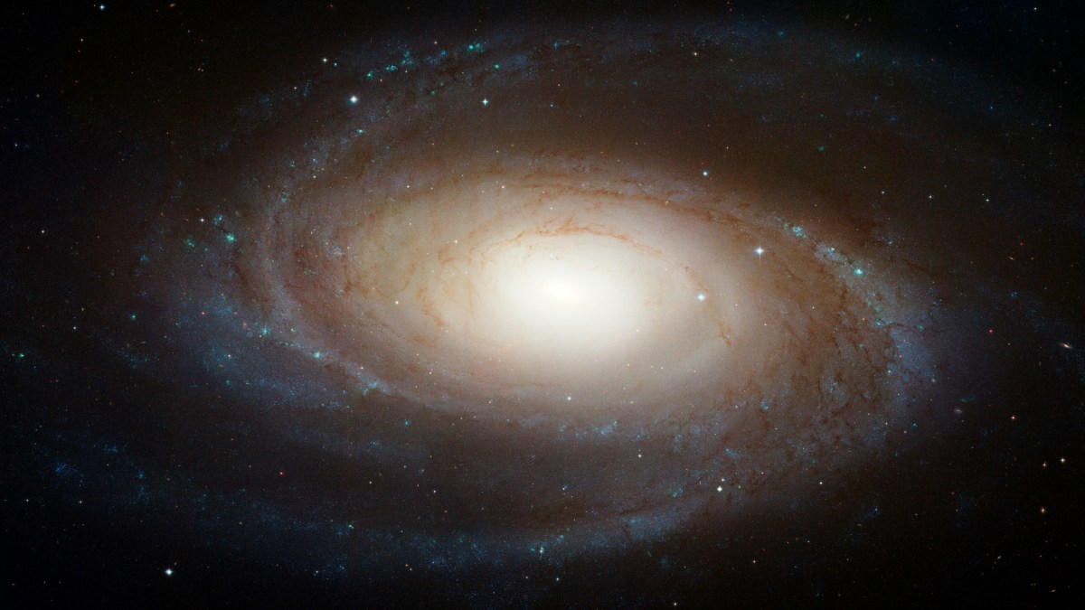 M81 vue par Hubble. // Source : NASA, ESA, and the Hubble Heritage Team (STScI/AURA) (photo recadrée) M81 vue par Hubble. // Source : NASA, ESA, and the Hubble Heritage Team (STScI/AURA) (photo recadrée)