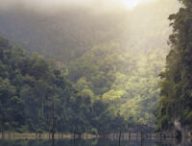 Les forêts tropicales sont particulièrement menacées par le changement climatique. // Source : Republica / Pixabay