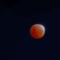 La Lune éclipsée le 19 novembre 2021. // Source : Flickr/CC/Dirk Pons (photo recadrée) La Lune éclipsée le 19 novembre 2021. // Source : Flickr/CC/Dirk Pons (photo recadrée)