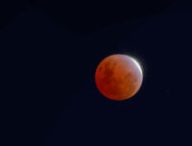 La Lune éclipsée le 19 novembre 2021. // Source : Flickr/CC/Dirk Pons (photo recadrée) La Lune éclipsée le 19 novembre 2021. // Source : Flickr/CC/Dirk Pons (photo recadrée)