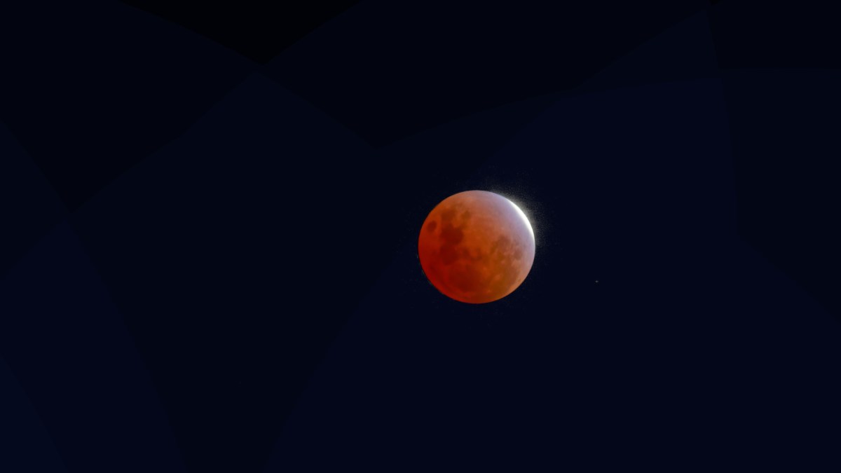 La Lune éclipsée le 19 novembre 2021. // Source : Flickr/CC/Dirk Pons (photo recadrée) La Lune éclipsée le 19 novembre 2021. // Source : Flickr/CC/Dirk Pons (photo recadrée)