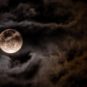 Source : Brett Sayles - Pexels Source : Brett Sayles - Pexels