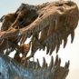 Un squelette de tyrannosaure. // Source : Flickr/CC/Dennis Jarvis (photo recadrée) Un squelette de tyrannosaure. // Source : Flickr/CC/Dennis Jarvis (photo recadrée)