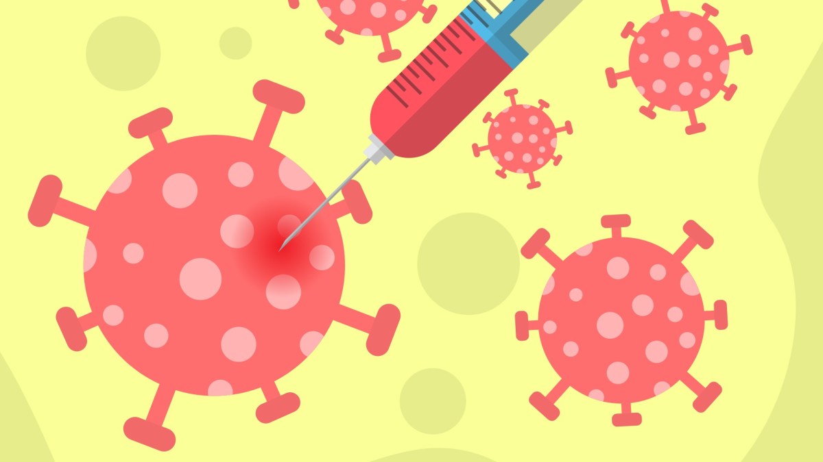 Vaccin contre le coronavirus. // Source : Pixabay Vaccin contre le coronavirus. // Source : Pixabay