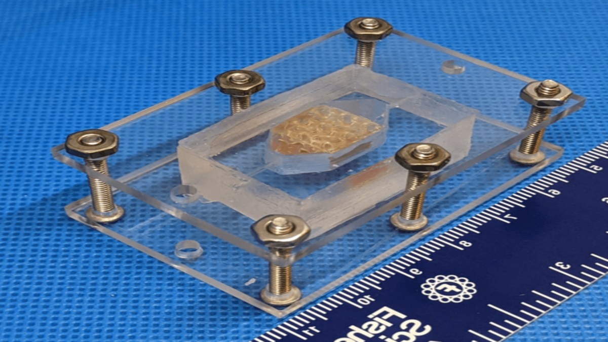 Chambre pour tester le tissu imprimé et faire un test de perfusion - Crédits : WFIRM Chambre pour tester le tissu imprimé et faire un test de perfusion - Crédits : WFIRM