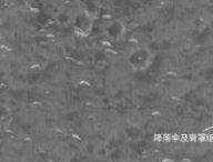 Site d'atterrissage de Zhurong sur Mars. // Source : CNSA (image annotée) Site d'atterrissage de Zhurong sur Mars. // Source : CNSA (image annotée)