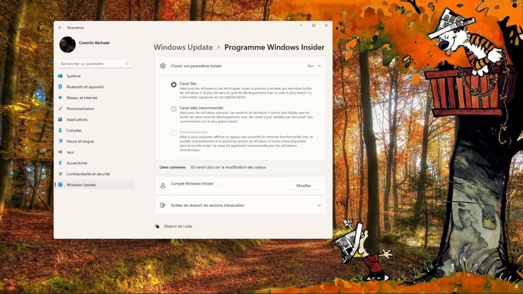 Comme Microsoft l'indique, le canal bêta bénéficie de mise à jours « plus fiables que les builds [du] canal de développement // Source : Capture d'écran