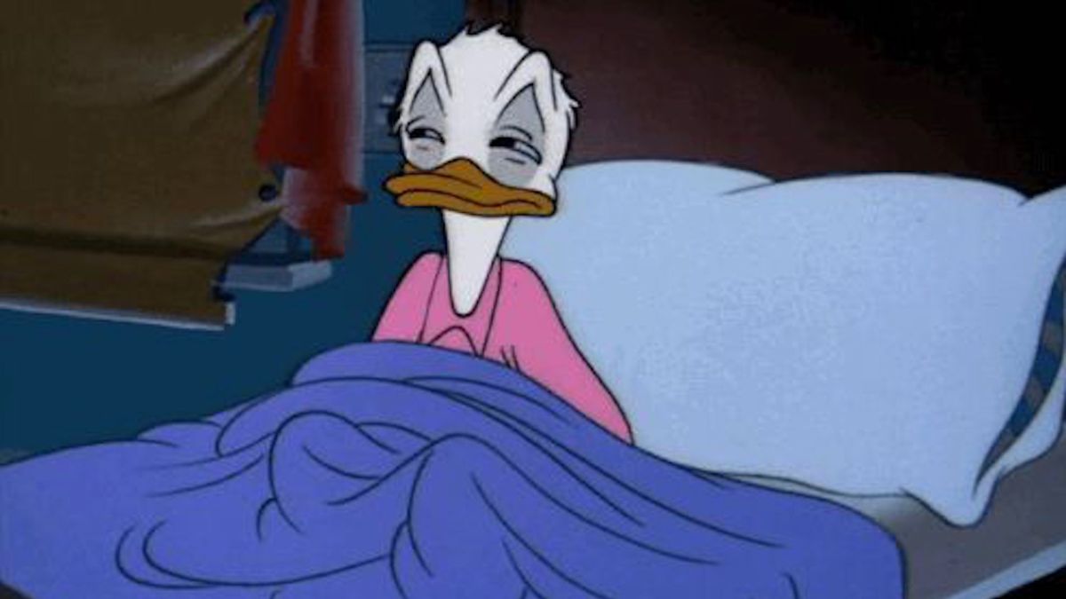 Donald Duck se réveille. // Source : Disney Donald Duck se réveille. // Source : Disney