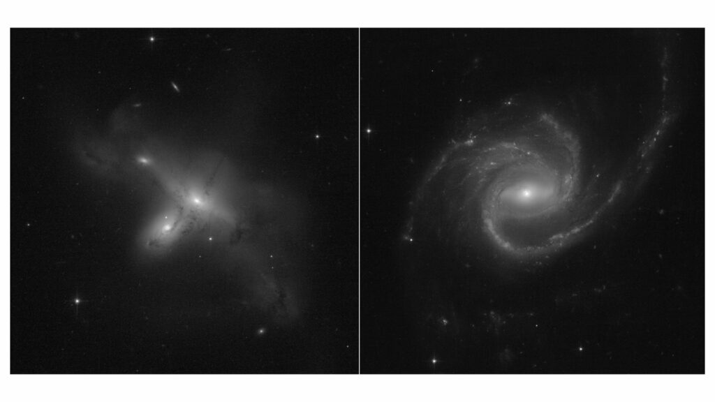 Les galaxies observées par Hubble. // Source : NASA, ESA, STScI, Julianne Dalcanton (UW), Alyssa Pagan (STScI) Les galaxies observées par Hubble. // Source : NASA, ESA, STScI, Julianne Dalcanton (UW), Alyssa Pagan (STScI)