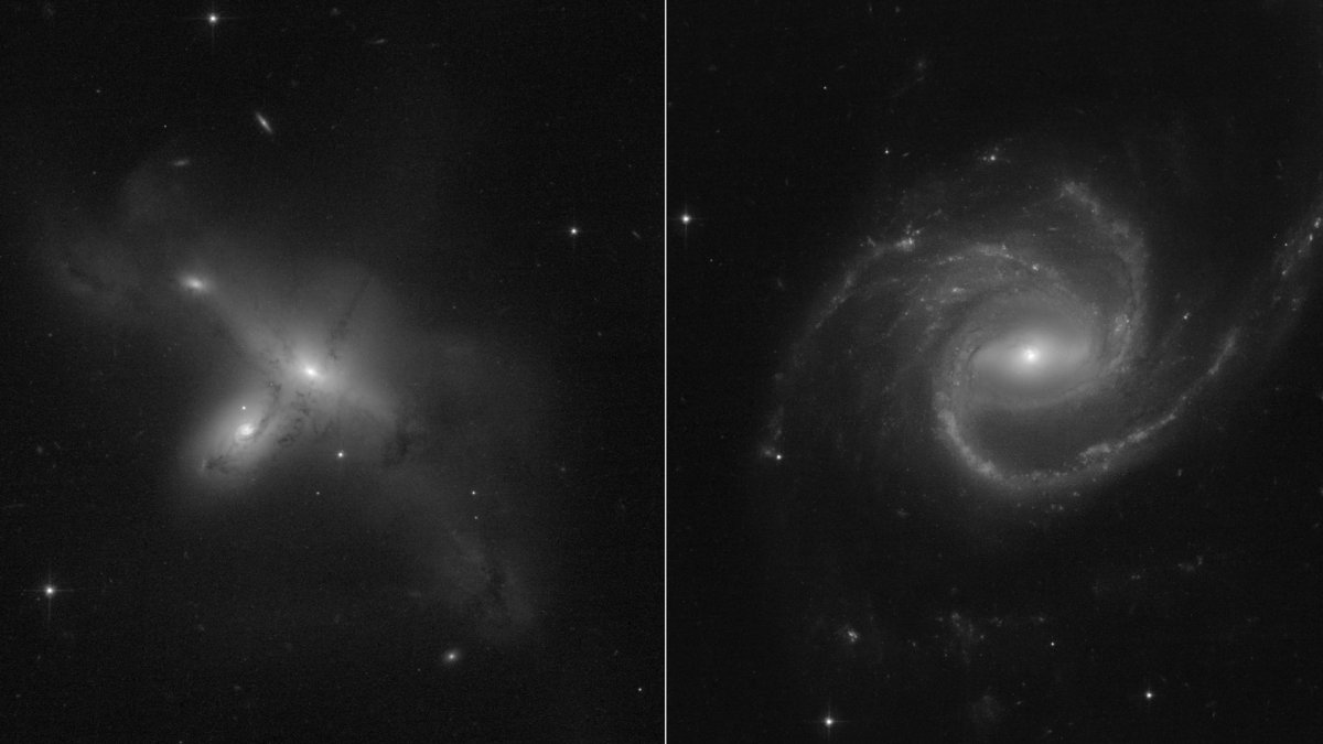 ARP-MADORE2115-273, à gauche. ARP-MADORE0002-503, à droite. // Source : NASA, ESA, STScI, Julianne Dalcanton (UW), Alyssa Pagan (STScI) ARP-MADORE2115-273, à gauche. ARP-MADORE0002-503, à droite. // Source : NASA, ESA, STScI, Julianne Dalcanton (UW), Alyssa Pagan (STScI)