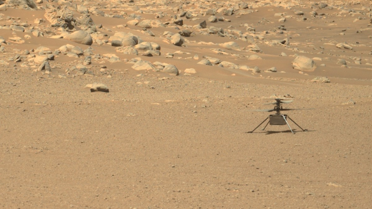 Ingenuity sur Mars, le 15 juin 2021. // Source : NASA/JPL-Caltech/ASU (photo recadrée) Ingenuity sur Mars, le 15 juin 2021. // Source : NASA/JPL-Caltech/ASU (photo recadrée)