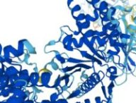 Protéine reconstituée par AlphaFold. // Source : DeepMind
