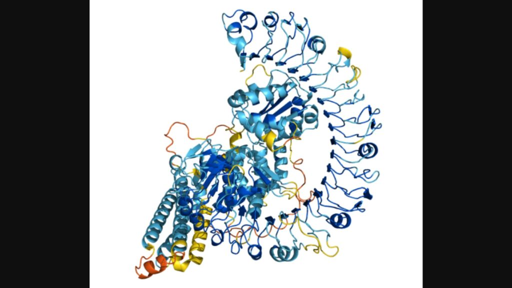 Voici Q8W3K0. Il s'agit d'une protéine qui permet à certaines plantes de résister aux maladies. // Source : DeepMind Voici Q8W3K0. Il s'agit d'une protéine qui permet à certaines plantes de résister aux maladies. // Source : DeepMind