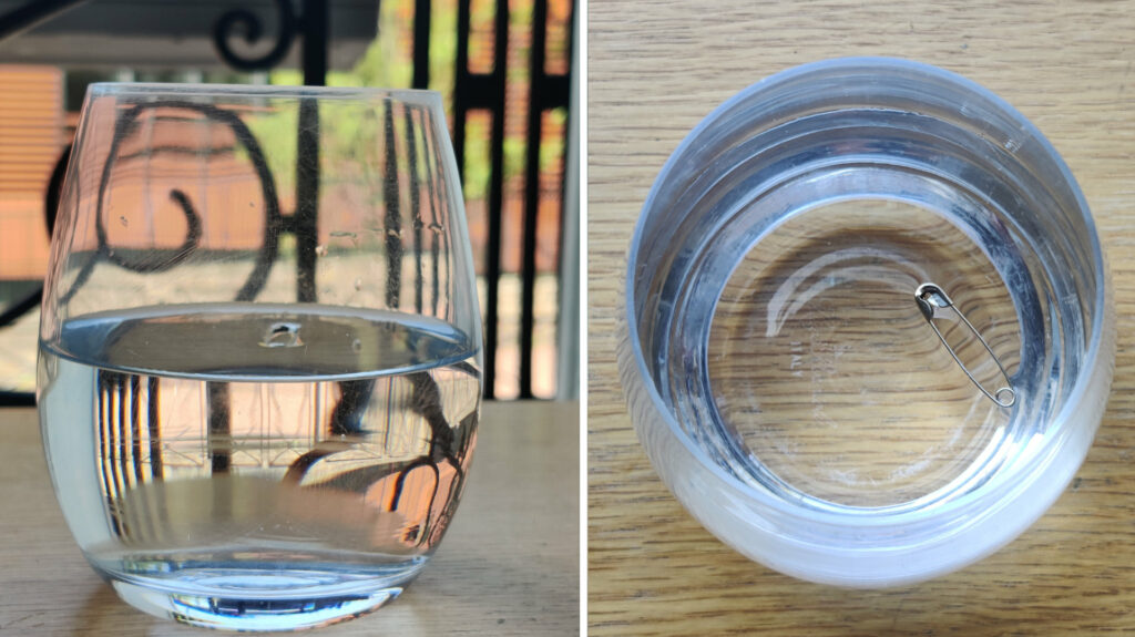 La légère « peau » de l'eau visible sur la photo de gauche permet à l'époingle à nourrice de ne pas couler malgré le fait que sa densité soit supérieure à celle de l'eau  // Source : Photo Corentin Béchade pour Numerama