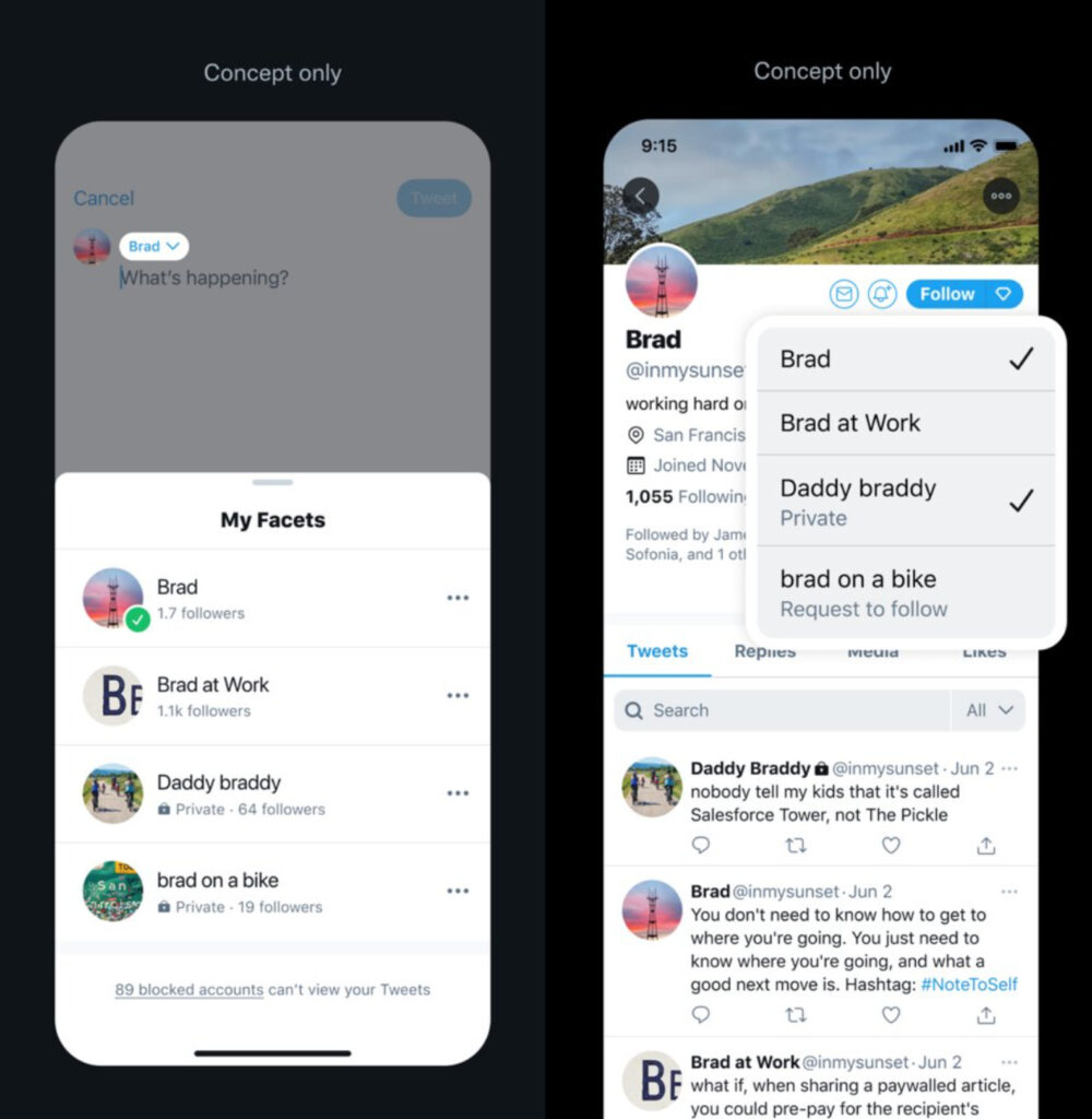 Les concepts des « Facets » de Twitter // Source : Twitter
