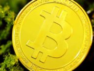Un bitcoin // Source : Executium / Unsplash