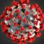 Le coronavirus SARS-CoV-2. // Source : Pixabay Le coronavirus SARS-CoV-2. // Source : Pixabay