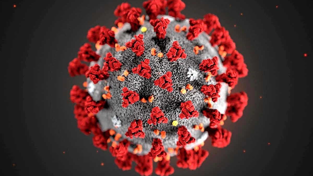 Le coronavirus SARS-CoV-2. // Source : Pixabay Le coronavirus SARS-CoV-2. // Source : Pixabay
