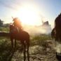 Ghost of Tsushima // Source : Capture PS5 Ghost of Tsushima // Source : Capture PS5