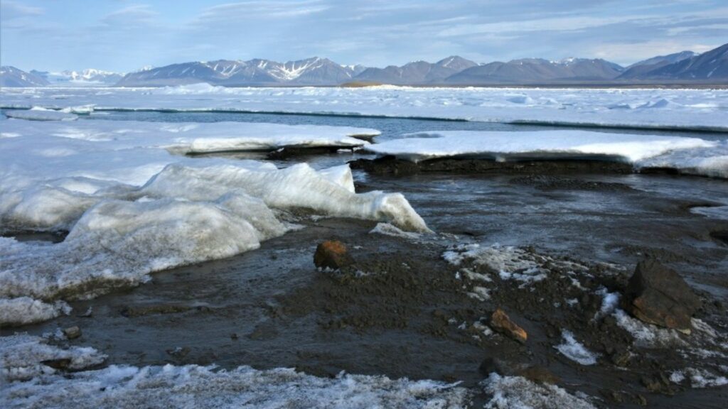 L'île la plus au nord jamais découverte fait 30 mètres sur 60 mètres. // Source : Morten Rasch