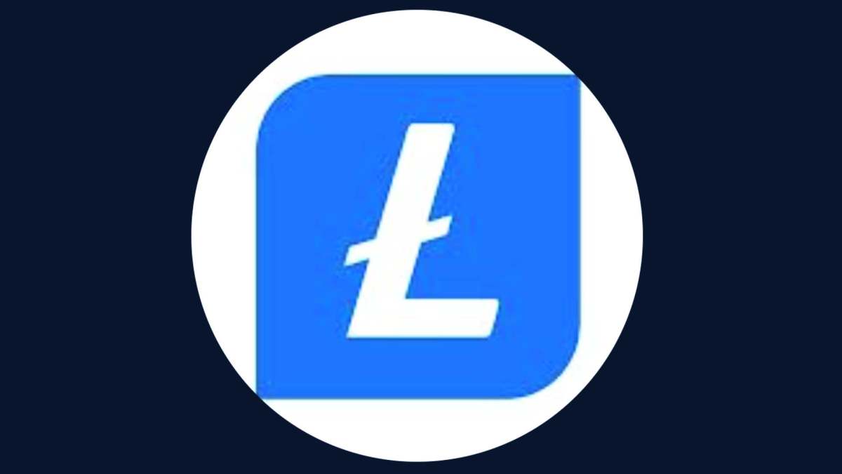 Logo Litecoin // Source : Capture Numerama Logo Litecoin // Source : Capture Numerama