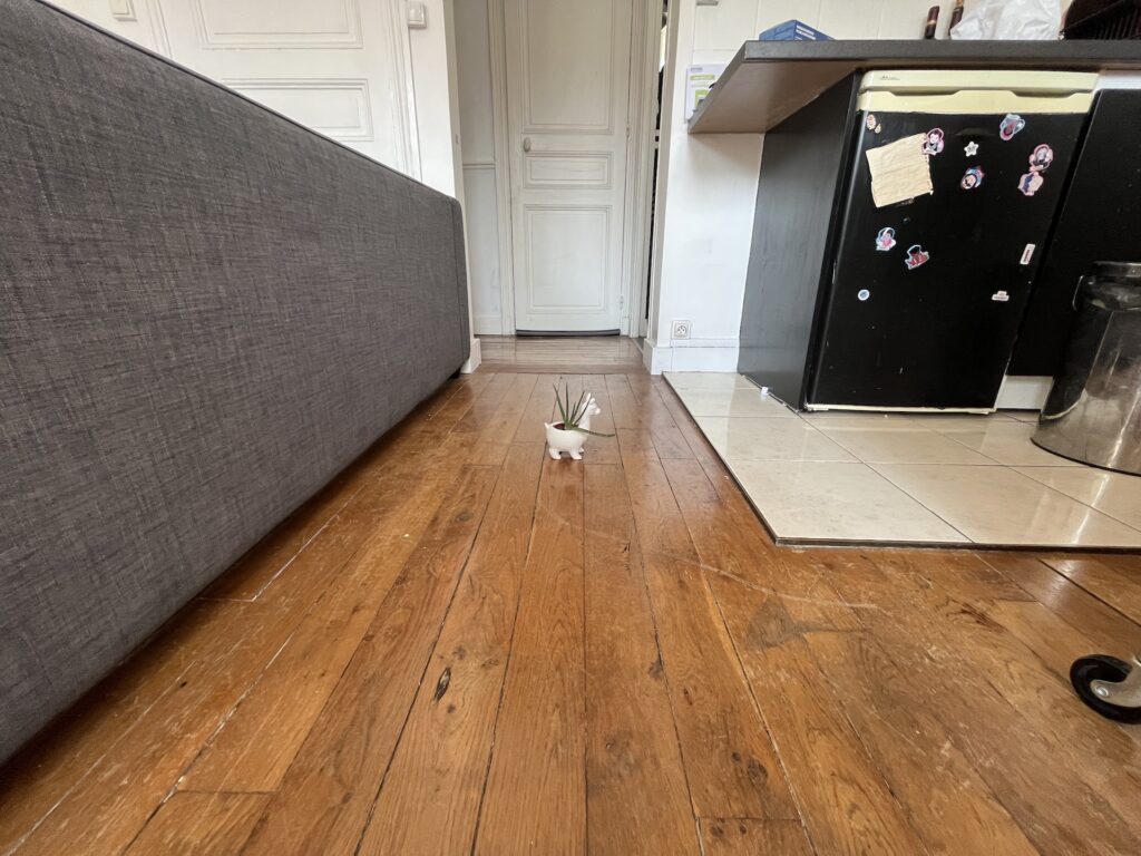 Un très beau lama en grand angle x0,5 avec l'iPhone 13 mini // Source : Numerama/MT