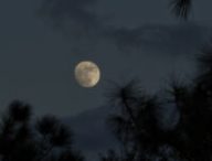 La Lune. // Source : Flickr/CC/Bob Hargrave (photo recadrée) La Lune. // Source : Flickr/CC/Bob Hargrave (photo recadrée)