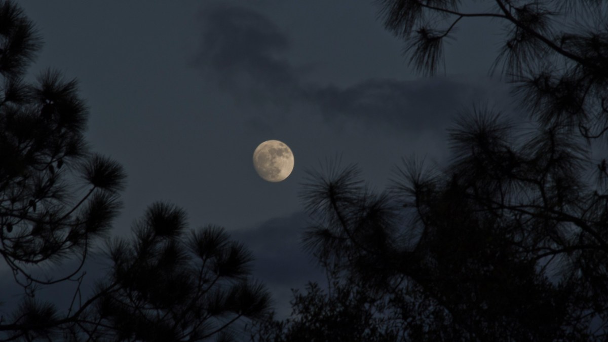 La Lune. // Source : Flickr/CC/Bob Hargrave (photo recadrée) La Lune. // Source : Flickr/CC/Bob Hargrave (photo recadrée)