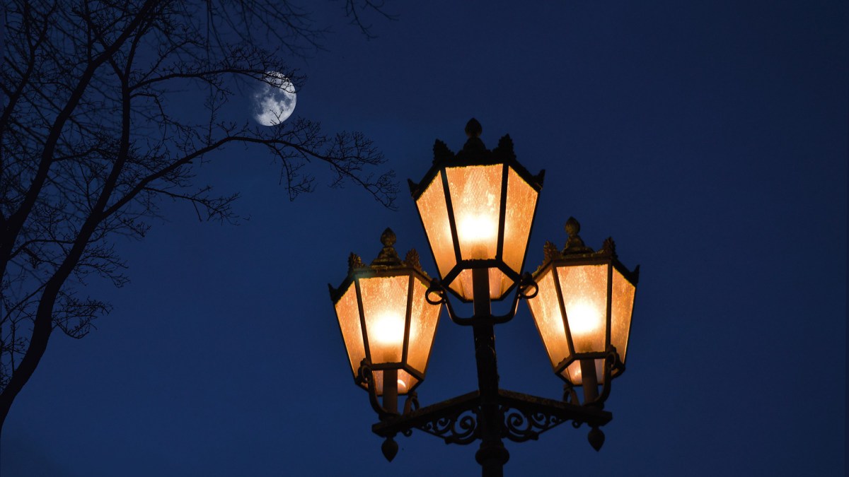 Ceci n'est pas la première photo de la Lune. // Source : Pixabay (photo recadrée) Ceci n'est pas la première photo de la Lune. // Source : Pixabay (photo recadrée)