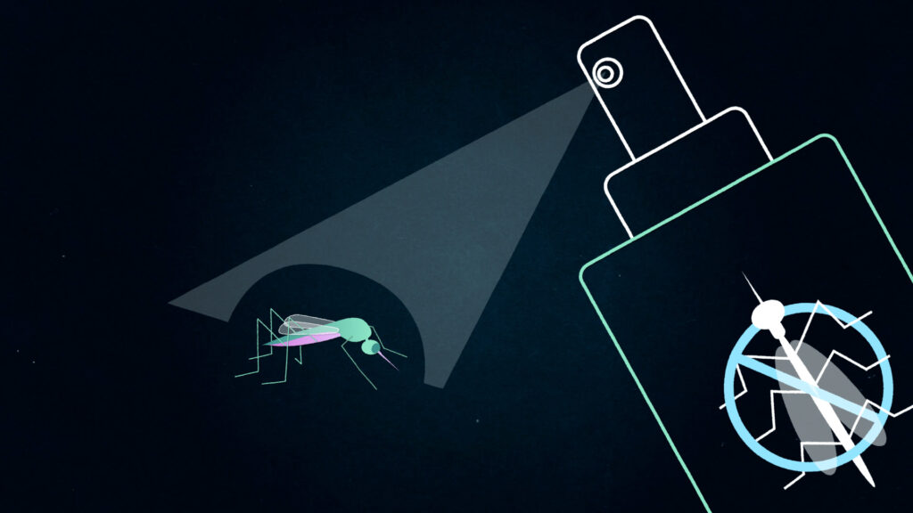 Les moustiques ont développé des résistances aux insecticides. // Source : Nino Barbey pour Numerama Les moustiques ont développé des résistances aux insecticides. // Source : Nino Barbey pour Numerama