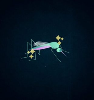 Moustique, illustration. // Source : Nino Barbey pour Numerama