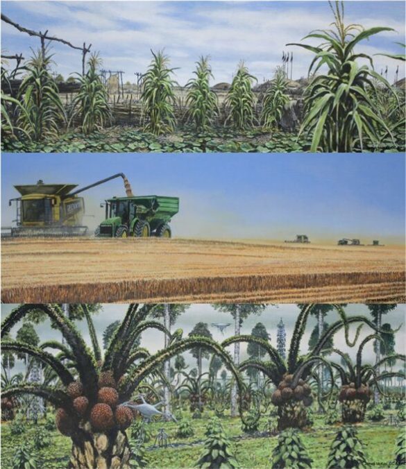 Projection climatique dans le Midwest des États-Unis à l'horizon 2500 (image du bas). L'image du milieu est à notre époque et celle du haut à l'époque pré-colonisation. // Source : Lyon et al., 2021/CC BY-ND Projection climatique dans le Midwest des États-Unis à l'horizon 2500 (image du bas). L'image du milieu est à notre époque et celle du haut à l'époque pré-colonisation. // Source : Lyon et al., 2021/CC BY-ND