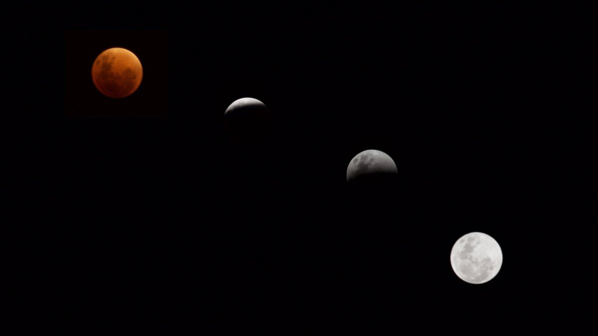 Éclipse de Lune, différentes étapes. // Source : Flickr/CC/Rodrigo Valla (photo recadrée) Éclipse de Lune, différentes étapes. // Source : Flickr/CC/Rodrigo Valla (photo recadrée)