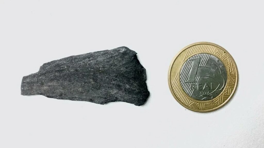 Charbon fossilisé issu d'un conifère brûlé. // Source : De Lima et al., Polar Research, 2021 Charbon fossilisé issu d'un conifère brûlé. // Source : De Lima et al., Polar Research, 2021