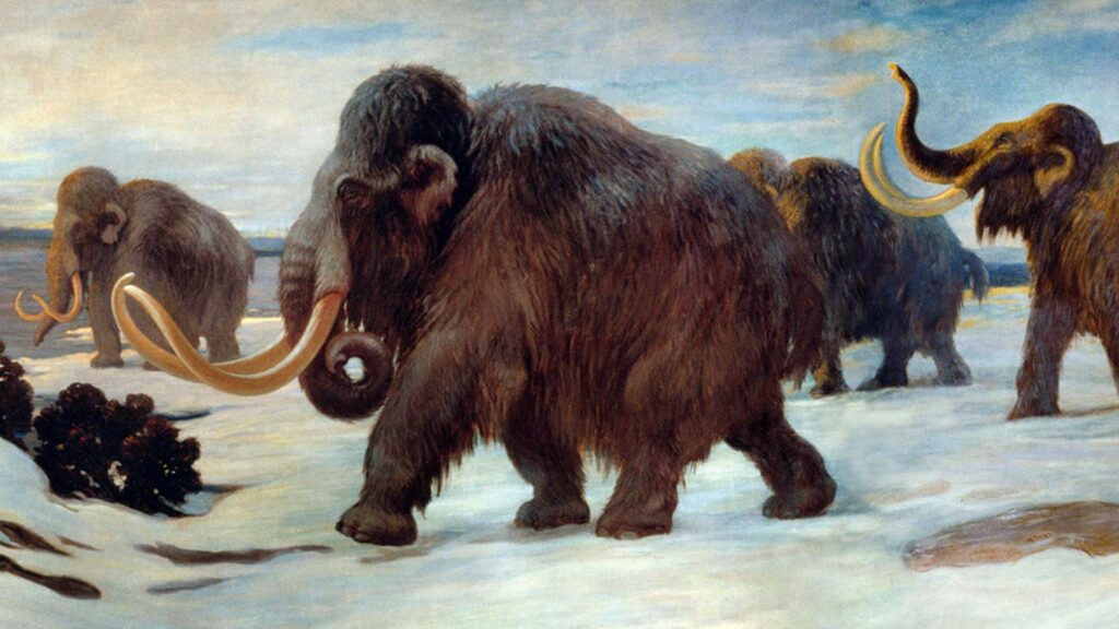 Peinture murale de Charles R. Knight (1916) représentant un troupeau marchant (dans la Somme). // Source : Museum américain d'histoire naturelle (domaine public) Peinture murale de Charles R. Knight (1916) représentant un troupeau marchant (dans la Somme). // Source : Museum américain d'histoire naturelle (domaine public)