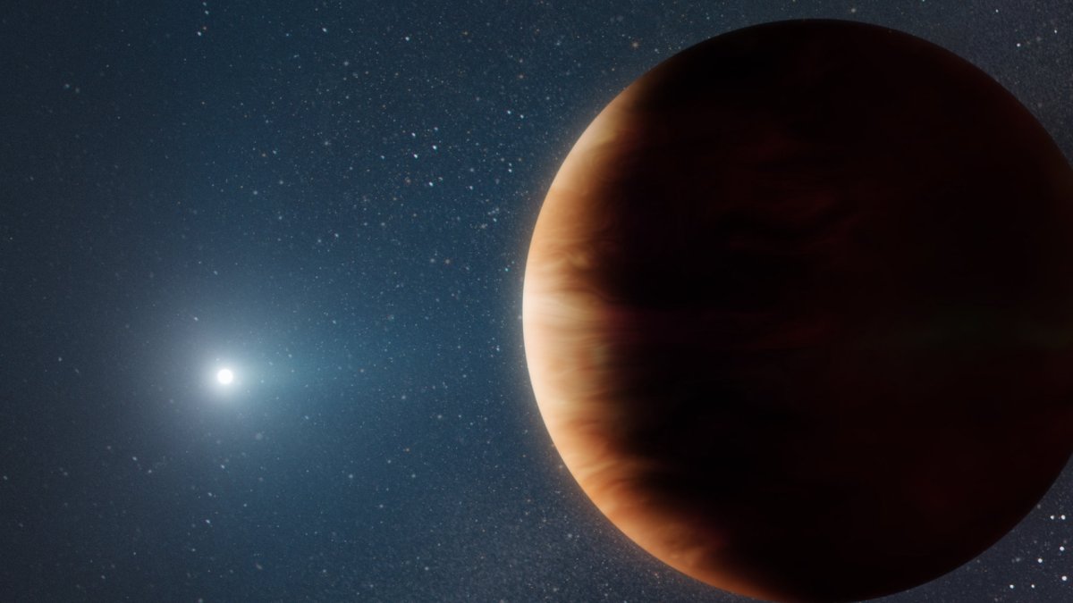 Vue d'artiste de l'exoplanète. // Source : W. M. Keck Observatory/Adam Makarenko Vue d'artiste de l'exoplanète. // Source : W. M. Keck Observatory/Adam Makarenko