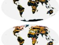 Source : Global Change Biology, 2021
