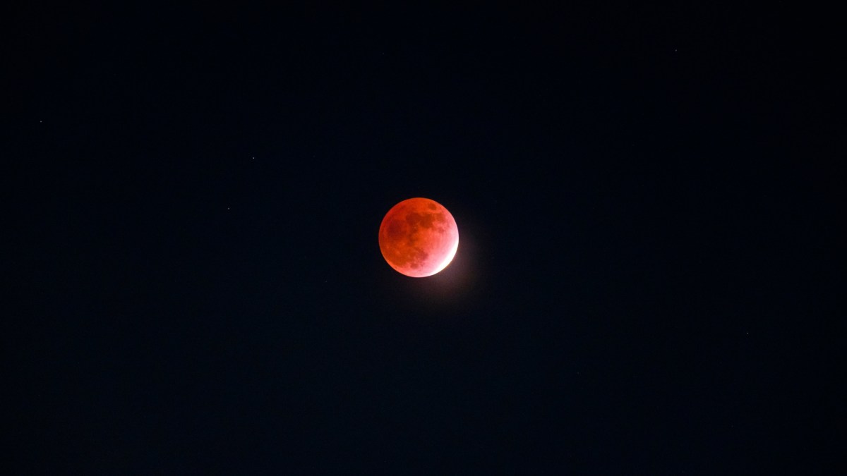 La Lune presque totalement éclipsée. // Source : Flickr/CC/taro96b (photo recadrée) La Lune presque totalement éclipsée. // Source : Flickr/CC/taro96b (photo recadrée)