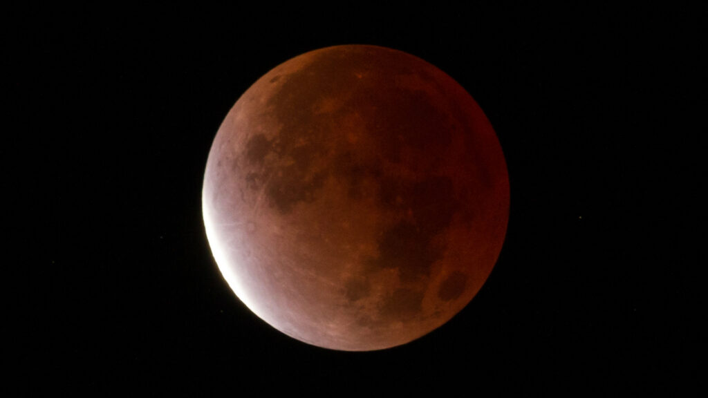 La Lune éclipsée le 19 novembre 2021. // Source : Flickr/CC/jurban (photo recadrée) La Lune éclipsée le 19 novembre 2021. // Source : Flickr/CC/jurban (photo recadrée)