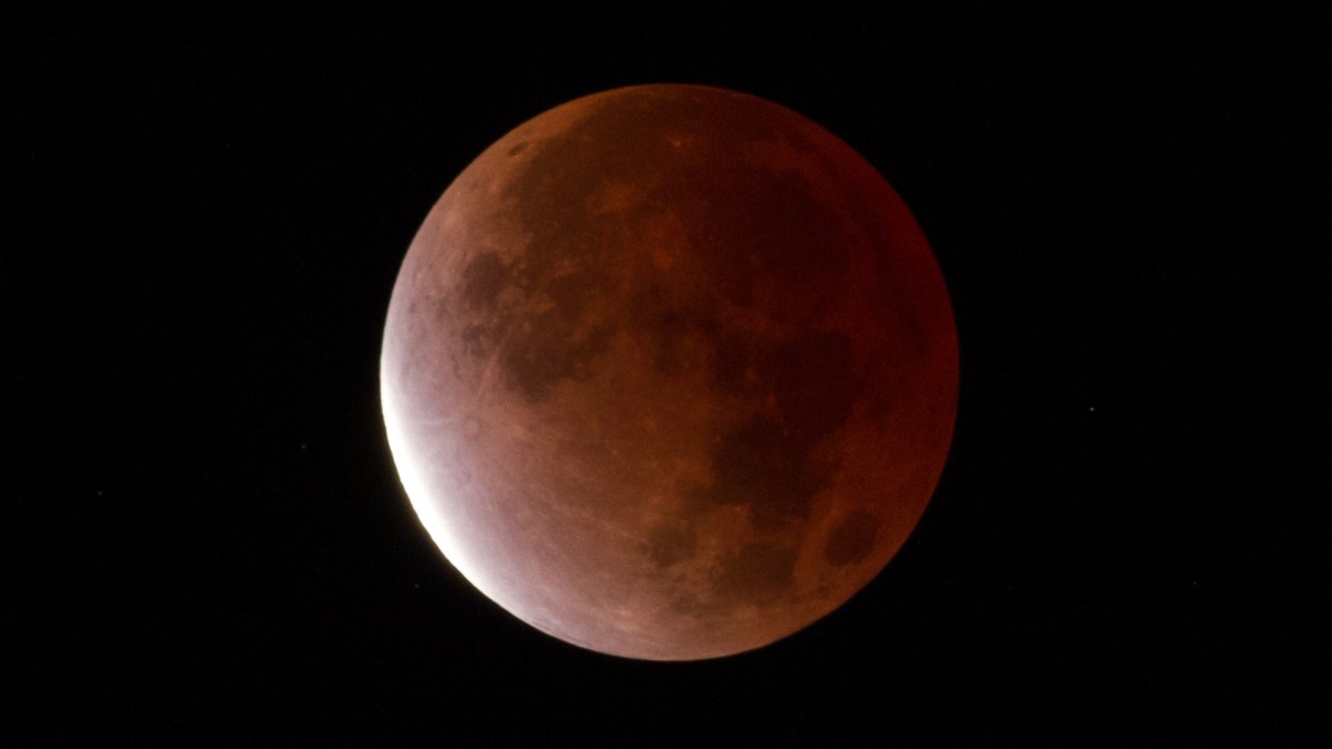 La Lune éclipsée le 19 novembre 2021. // Source : Flickr/CC/jurban (photo recadrée) La Lune éclipsée le 19 novembre 2021. // Source : Flickr/CC/jurban (photo recadrée)