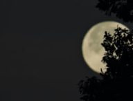 La Lune. // Source : Unsplash/Kristen Wyman (photo recadrée) La Lune. // Source : Unsplash/Kristen Wyman (photo recadrée)