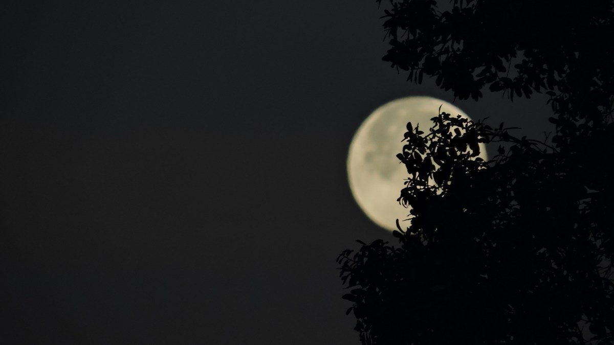 La Lune. // Source : Unsplash/Kristen Wyman (photo recadrée) La Lune. // Source : Unsplash/Kristen Wyman (photo recadrée)