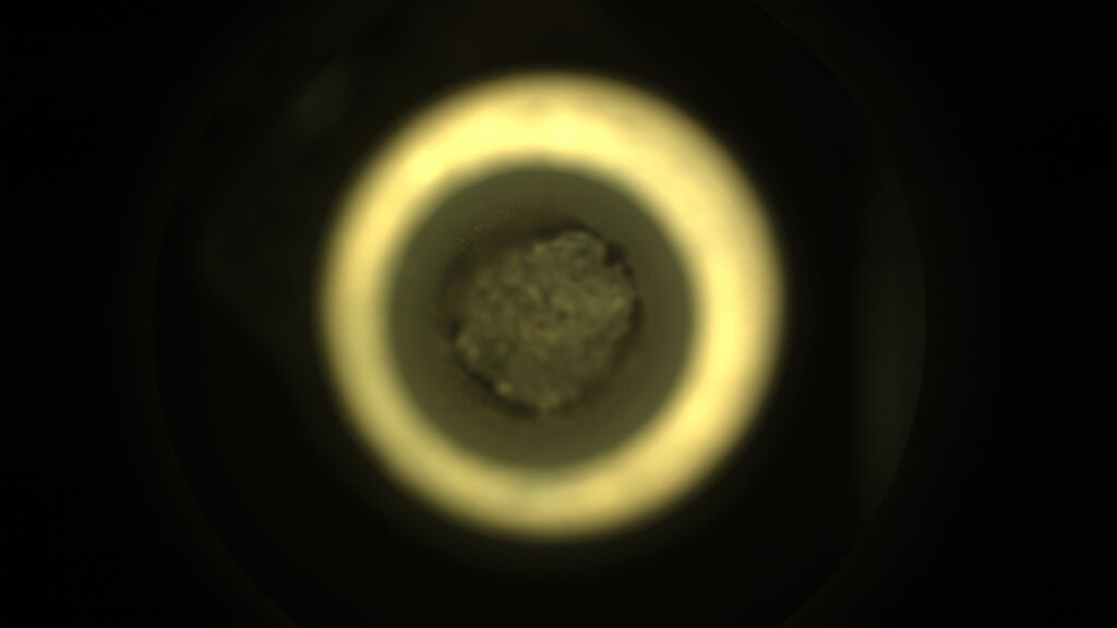 L'échantillon prélevé par Perseverance. // Source : NASA/JPL-Caltech (photo recadrée) L'échantillon prélevé par Perseverance. // Source : NASA/JPL-Caltech (photo recadrée)