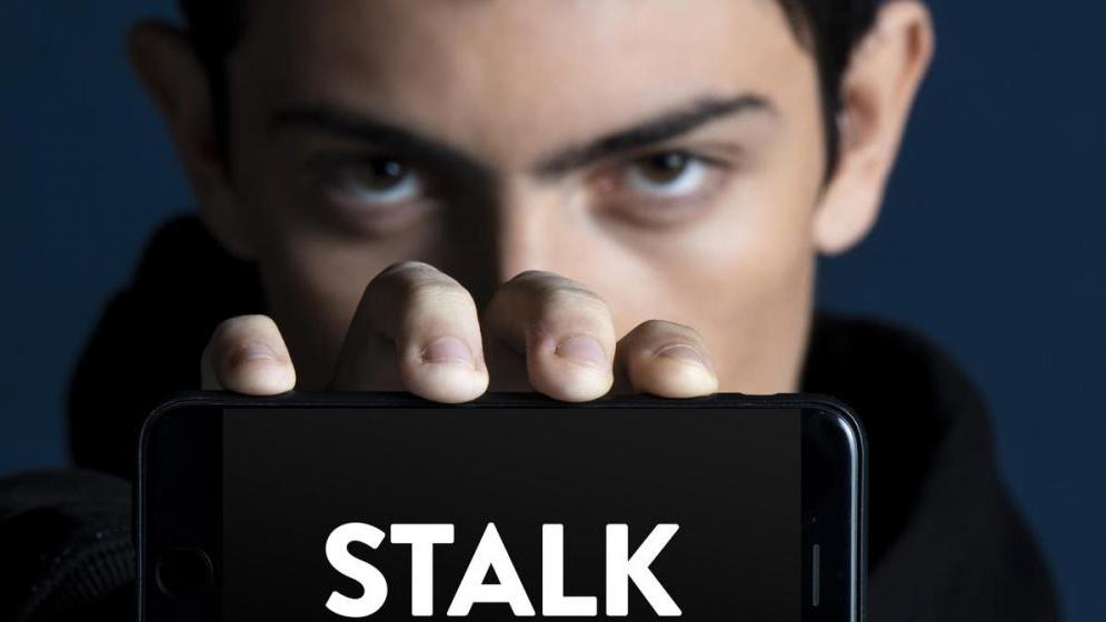 stalk-s2-4-jpg