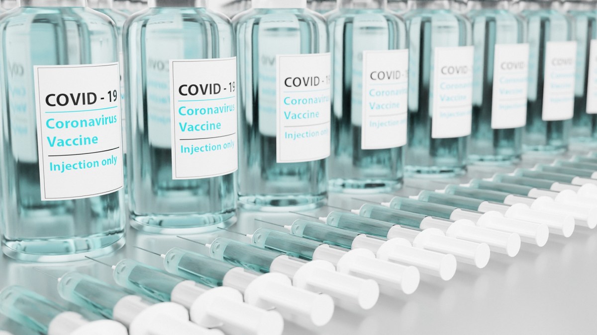 Vaccins contre le covid // Source : Pixabay Vaccins contre le covid // Source : Pixabay