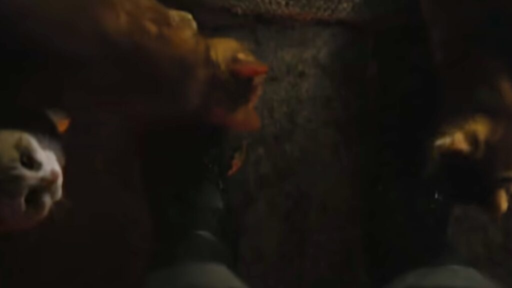 Des potichats dans The Batman // Source : Copie d'écran/Warner Des potichats dans The Batman // Source : Copie d'écran/Warner