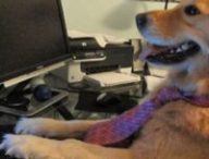 I have no idea what i'm doing I have no idea what i'm doing