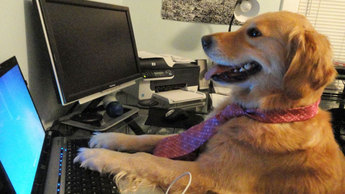 I have no idea what i'm doing I have no idea what i'm doing