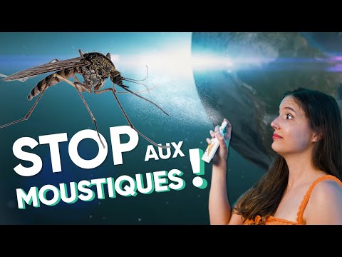 Un MONDE sans MOUSTIQUE ? Un MONDE sans MOUSTIQUE ?